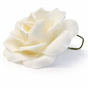 Foam Flower