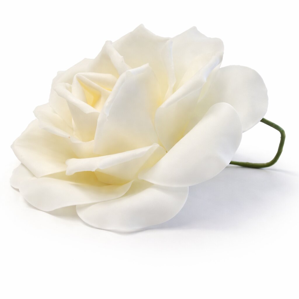 Foam Flower