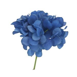 Stem - Hydrangea