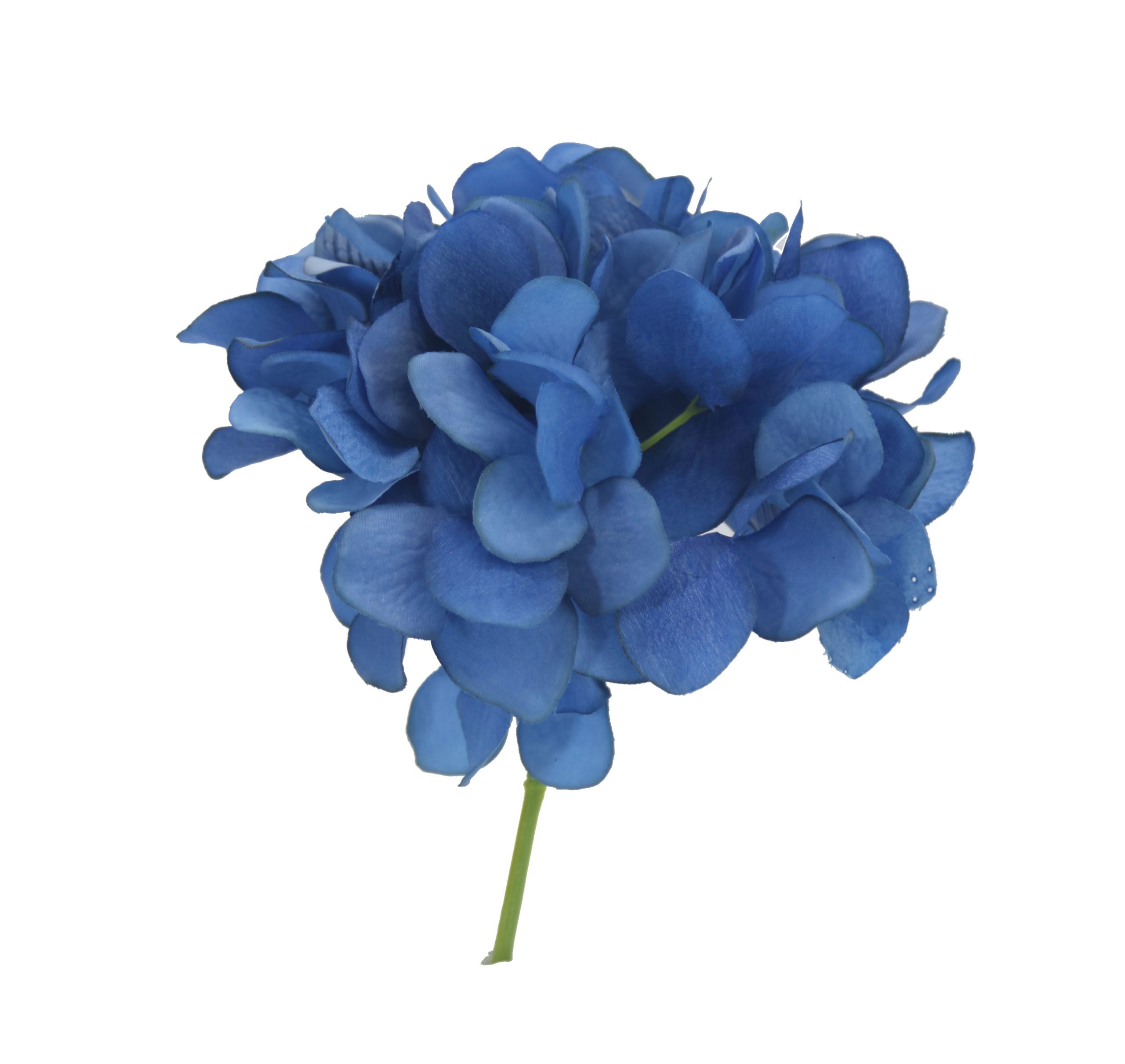 Stem – Hydrangea