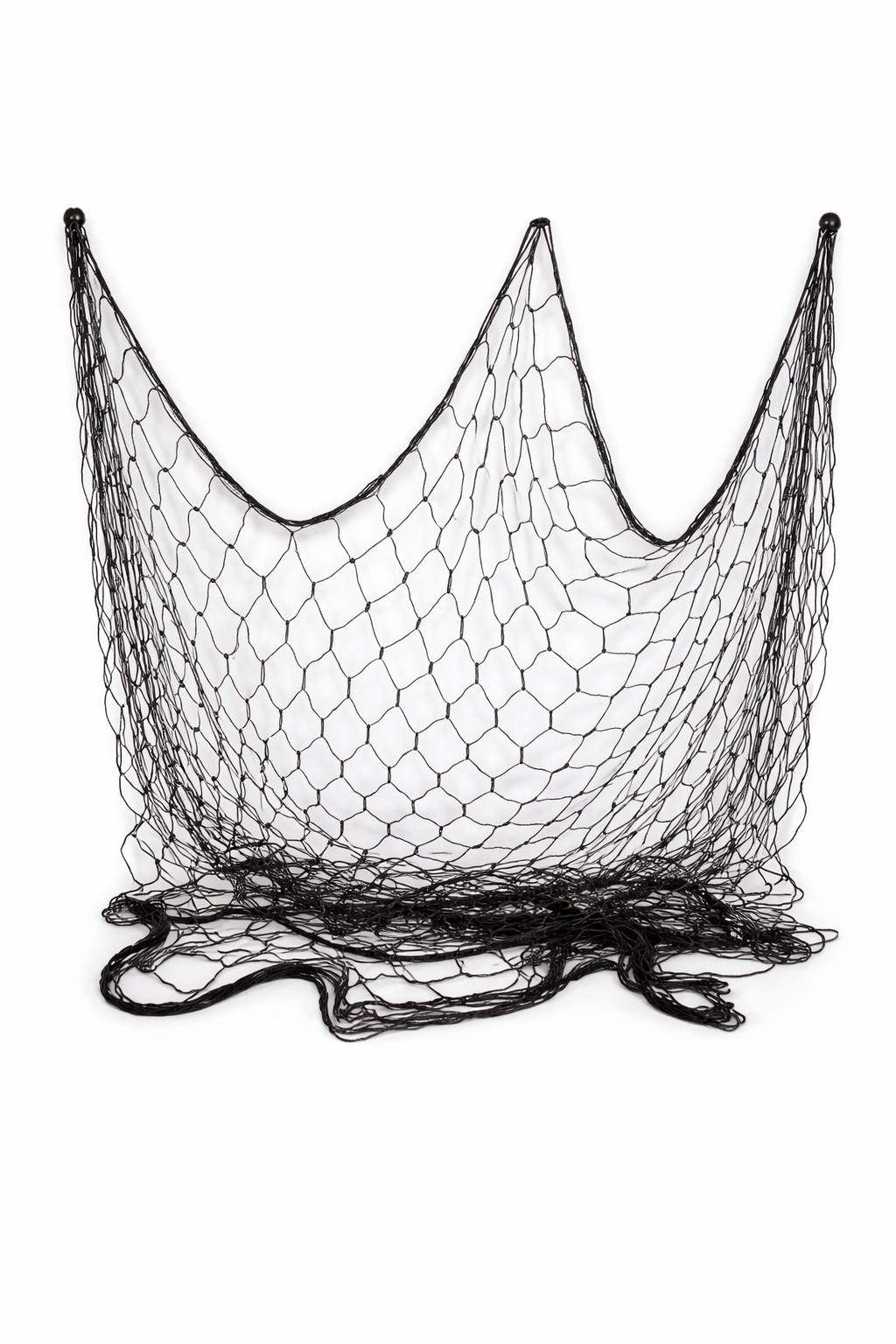 Fish Net