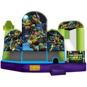 Teenage Mutant Ninja Turtle